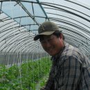 김종열농장 이미지