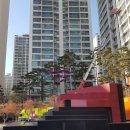 엘스약국 이미지