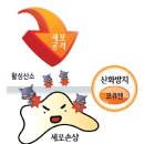 메트로정약국 이미지