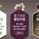 한솔내과의원 네이버블로그