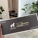 대구 강아지 장례식장 추천, 아이들랜드가 보여주는 진심과 투명한 약속