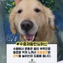 경기동물병원 이미지