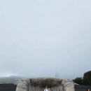 치앙마이 - 포항시 남구 대이로127번길 21 | 치앙마이