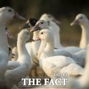 이경민농장 이미지