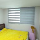 제일플러스 이미지