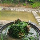 탑동길손 이미지