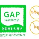 (주)정성약품 이미지