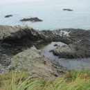 대구서부초등학교 이미지