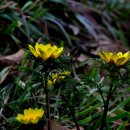 현천마을 이미지