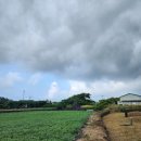 골왓마을방사탑 4호 이미지