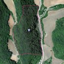 정선공인중개사사무소 이미지