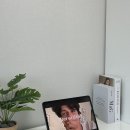 크림스테이