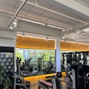 AR 퍼스널 헬스 | 구월동pt를 받고 온 후기:AR퍼스널트레이닝