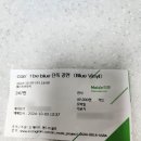 캔트비블루 블루비닐 콘서트 후기｜웨스트브릿지홀 전석 스탠딩, 49,000원 현장예매 가능했던 공연