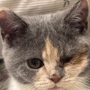 마레동물병원 이미지