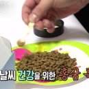 낼름&애견샵 이미지