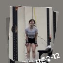 에어그라운드(AIR GROUND) | 크로스핏 운동 팀와드 후기 : pull up, push up, GTO, squat