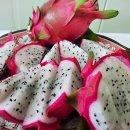 웰빙농장2 이미지