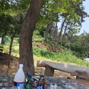 팔금농장 이미지