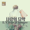 대전예술의전당-9 Daum카페