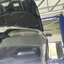 콩이카센타 이미지