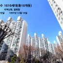 신나무실공원 Daum카페