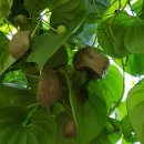 열매농장 이미지