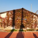 옥봉초등학교 이미지