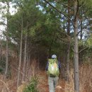 신풍리-1 이미지