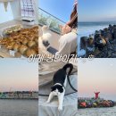 해변의 꿈 호스텔 | 뚜벅이도 걱정 없는 묵호 혼자 여행 2박3일 코스 기록 (2)