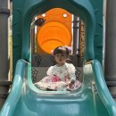 책별 - 기다란 코 그림책을 보아요🐘/ 즐거운 산책 다녀왔어요🩷💛🩵 이미지