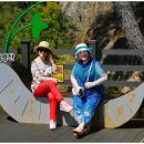 화 농장 이미지