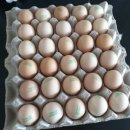 방천가족족발 이미지