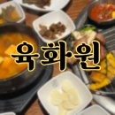 한돈숯불구이 | [노은역 회식 장소 추천] 숯불구이 맛집 육화원 한돈 생대패삼겹살/쫄면 후기✨