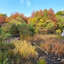 어침이공원 이미지