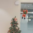 캐슬치과의원 이미지