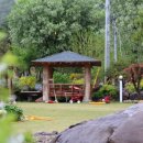 에버그린민박 이미지