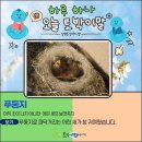 빛의 둥지 이미지