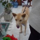 강현림 종합동물병원 이미지