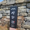 오동동041 이미지