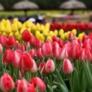 태안반도영농조합법인 이미지