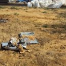 풍림농장 이미지