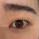 에스와이(SY) | 합정 속눈썹펌 후기 @에스와이스튜디오
