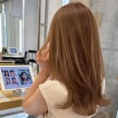 엘리헤어 이미지