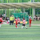 충주중앙초등학교 이미지