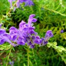 풀 - 전주시 완산구 홍산남로 83-19 | 풀