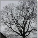 제주도 옹기장 | 남파랑길 강진82구간