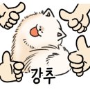 나의 강아지에게 이미지