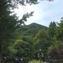 오이코스테이 | 평창 펜션 오이코스테이 바베큐 수영장 내돈내산 솔직후기