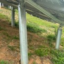 경인태양광발전소 이미지